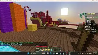 Hypixel Fun