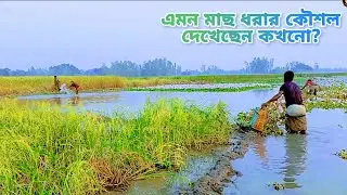 কাঁদার গর্তে হাত ঢুকিয়ে অবিশ্বাস্য কুচো মাছ ধরার কৌশল! 🤯| JomidarBajar