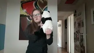 koffer inpakken