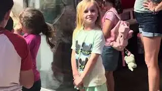 @UniversalPictures @universalstudiosorlandofan6898 #kidsfun #christianbelief #2026 #Jurassic