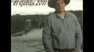 La Catira de los Reales Héctor Hernández (El Gabán)
