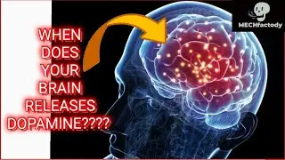 When Brain Releases Dopamine? || MECHfactody #shorts #shortvideos #short #youtubeshorts