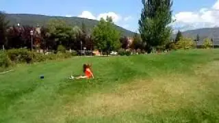 MOV01466