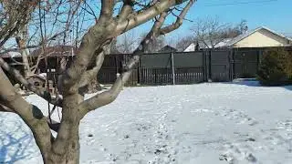 Ianuarie 2026 Călărași lehliu