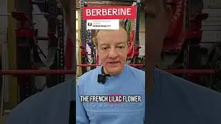 Does berberine treat diabetes? Or help with anything? #berberine #health #scam #healthy #medicine