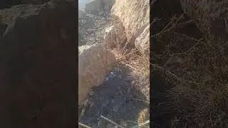 ٢٣ ديسمبر ٢٠٢٥