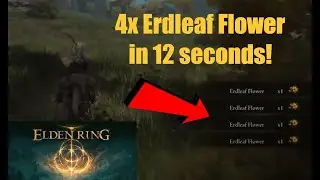 Elden Ring | 4x Erdleaf Flower Farm - EARLY GAME | Agheel Lake North