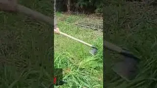 Gardening Hoe