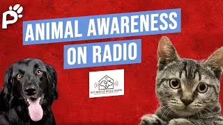 Animal Awareness on Radio | Pet Rescue Radio | Pawareness Podcast Ep. 70