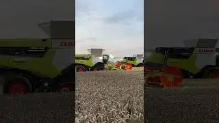 Pr&eacute;sentation des nouveaut&eacute;s Claas en Allemagne 👌#agriculture #claas #harvest #lexion