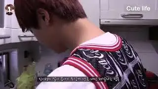 BTS CELEBRATE 1ST BIRTHDAY 🥳🥳🥳💜💜#bts #army #cutelife @CuteLife my fvrt dubbing channel
