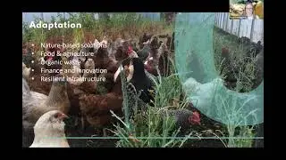 GBN KC's Regional Climate Action Plan Webinar April 2021