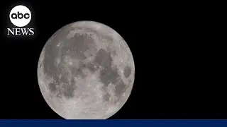 Earth to get a temporary 