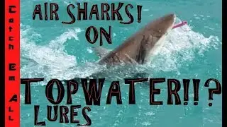 CATCHING SHARKS on TOPWATER LURES!