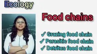 What is food chain? II Grazing, Parasitic, Detritus food chains II #DoorToConcept