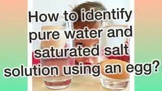 How to identify pure water and saturated salt solution using an egg?