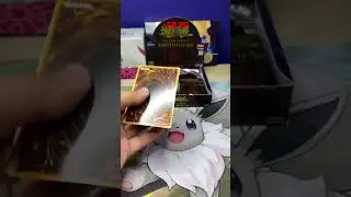 Yu-Gi-Oh Rarity Collection - Booster Pack 7 #yugioh #perfectnight #raritycollection