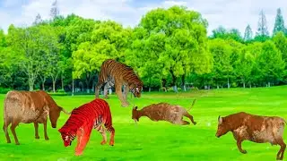 zombie Mammoth Vs Elephant save cow cartoon from saber tooth tiger attack ||@aksiddharth4597
