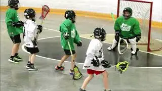 WMLA Small Fries & Tyke HL Lacrosse 2019