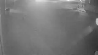 Thomas Brown disappearance 11:42pm, November 23, 2016