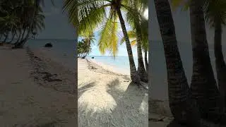 Saona &ndash; white sand, blue sea, endless calm. #dominicanrepublic #beach #travel #4k #nature