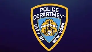 New York Police Department Precinct 40th Responding Calls 