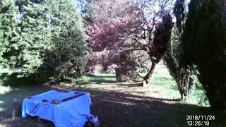 APEMAN H45 Videos & Pictures Trail Wildlife Camera Trap Camera 4 of 4 Brittany, France