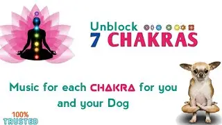 Chakras Music for Dogs and You |Animal Assisted Therapy |Chakra Music for Dogs to Sleep