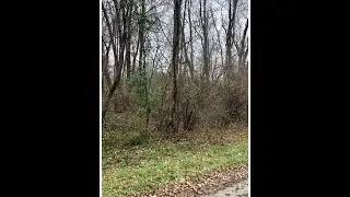 Lots And Land for sale - 0 Elm Road NE, Thornville, OH 43076