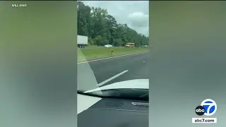 Runaway kangaroo causes car crash on Alabama highway