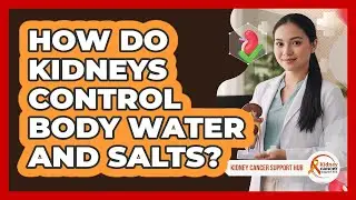 How Do Kidneys Control Body Water And Salts?