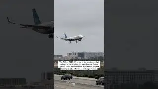 Airbus A321-231 landing at LAX from EWR #jetblue #aviation #lax #planespotting #airbus321 #airbus