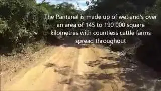Riding through the Pantanal in Brazil