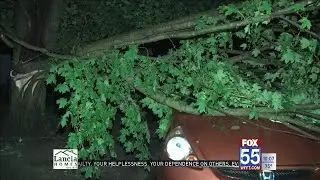 Allen County leaders ask residents to report derecho damage for state, federal aid