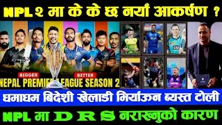 NPL २ मा के हुन्छ के हुदैन ? DRS र लाइव STAR SPORTS बाट हुञ्छ कि अन्य ? Npl 2 Big News Updates Today