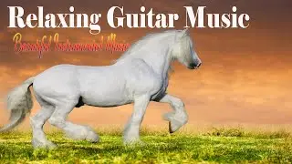 (Number 1) Beautiful Background Guitar Relaxing Instrumental Music 2023
