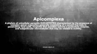 Medical vocabulary: What does Apicomplexa mean