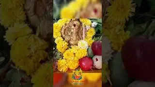 My Home Ganesha / Happy Vinayaka Chaturthi / Ganesh Pooja / #shorts / @prettyhobbies