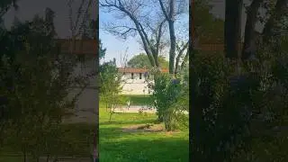 Out side of kremlin view / #russia #astrakhan #shortsvideo #short #viral