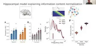 Searching for Cortical biomarkers of abnormal hippocampal activity. By Diogo Santos Pata. IBEC, ES