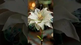 The Clockwork Lily | Steampunk Bloom in 8K | AI Cinematic Art Transformation#aivideo