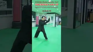 Tai Chi Fajin & YunJin : LaoJia ErLu - Part 9: Form 32 : Dǎochādǎochā ~ Form 40 : jīngāngdǎodu&igrave;
