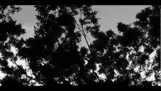 A Ring Of Thorns - Out Of Nowhere (antecedent cut)