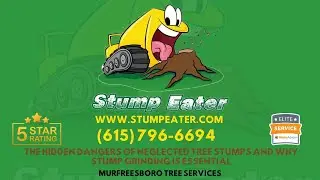 The Hidden Dangers of Neglected Tree Stumps and Why Stump Grinding Is Essential