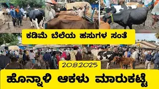 ಹೊನ್ನಾಳಿ ಆಕಳು ಮಾರುಕಟ್ಟೆ/ಅತ್ಯಂತ ಕಡಿಮೆ ಬೆಲೆಯ ಹಸು ಮಾರುಕಟ್ಟೆ/Honnali cattle market live update -20.08.25