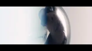 CHARLY KID FT SIDISID & SHAM LEPIRE - EYES WIDE SHUT