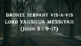 Bronze serpant vis-a-vis Lord YAHSHUA MESSIYAH&nbsp;(John&nbsp;3:&nbsp;9-17) | 14-11- 2025