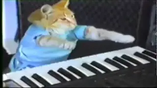 The Sun Song - Jason Marion