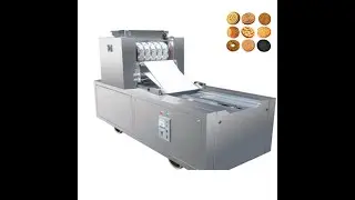 China supplier automatic biscuit making machine custom various shape cookie machine price