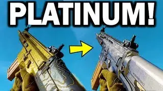 UNLOCKED! EVERY AR PLATINUM & GOLD! Finally!! Weapon Camo Showcase! - Modern Warfare